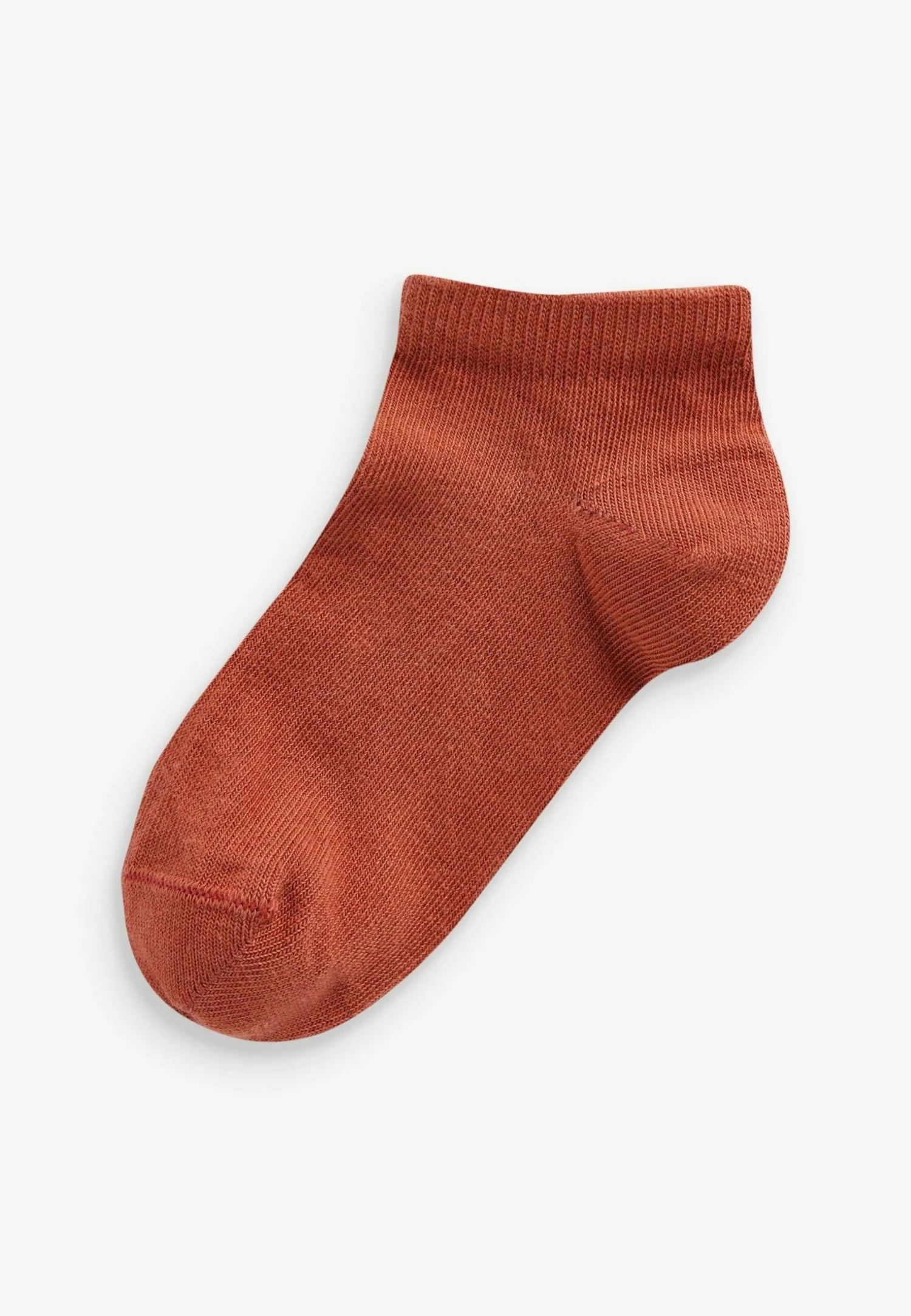 Next Detail Bandeau Boobtube Standard - Chaussettes - Blue And Neutral Stripe 5 Next Detail Bandeau Boobtube Standard - Chaussettes - Blue And Neutral Stripe – Image 3