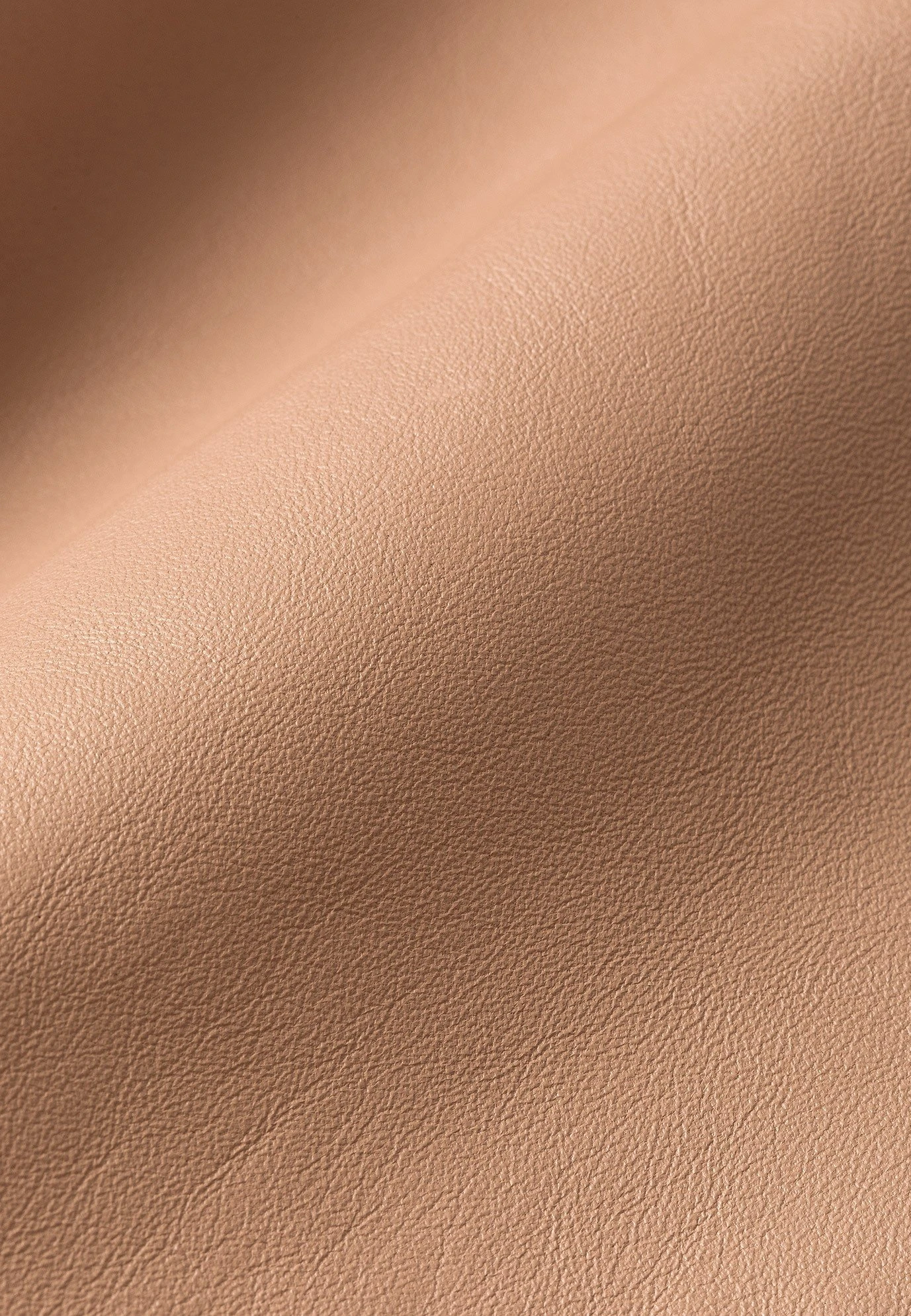 IVY OAK Veste En Cuir - Camel 8 IVY OAK Veste En Cuir - Camel – Image 6