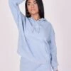Basic Broderie Logo - Sweat À Capuche - Bleu Ciel