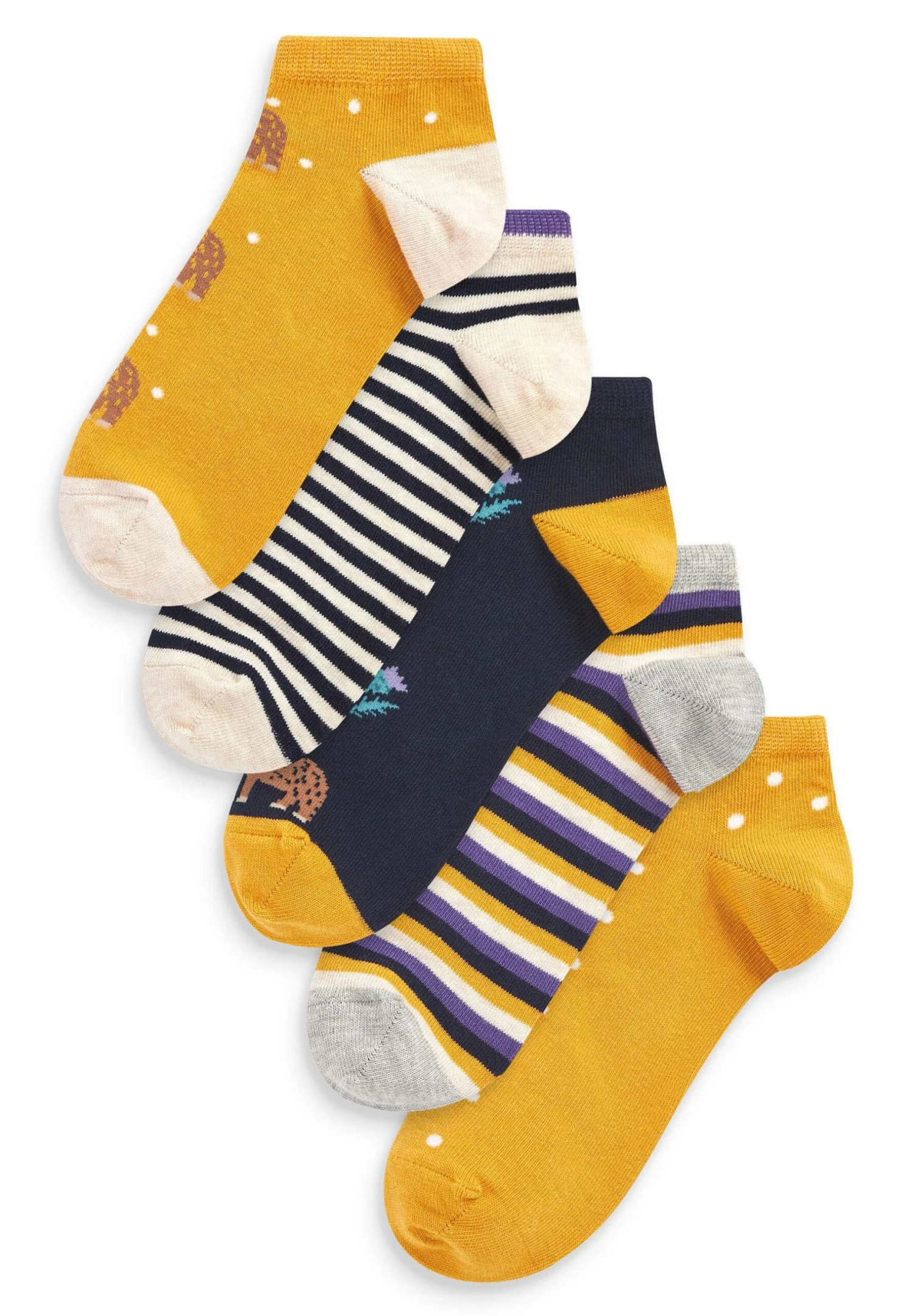 Next Hamish Highland Cow 5 Pack - Socquettes - Ochre/Yellow/Navy 3 Next Hamish Highland Cow 5 Pack - Socquettes - Ochre/Yellow/Navy