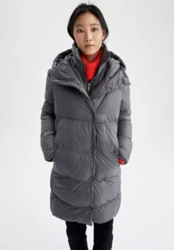 DeFacto Regular Fit - Manteau D'Hiver - Grey