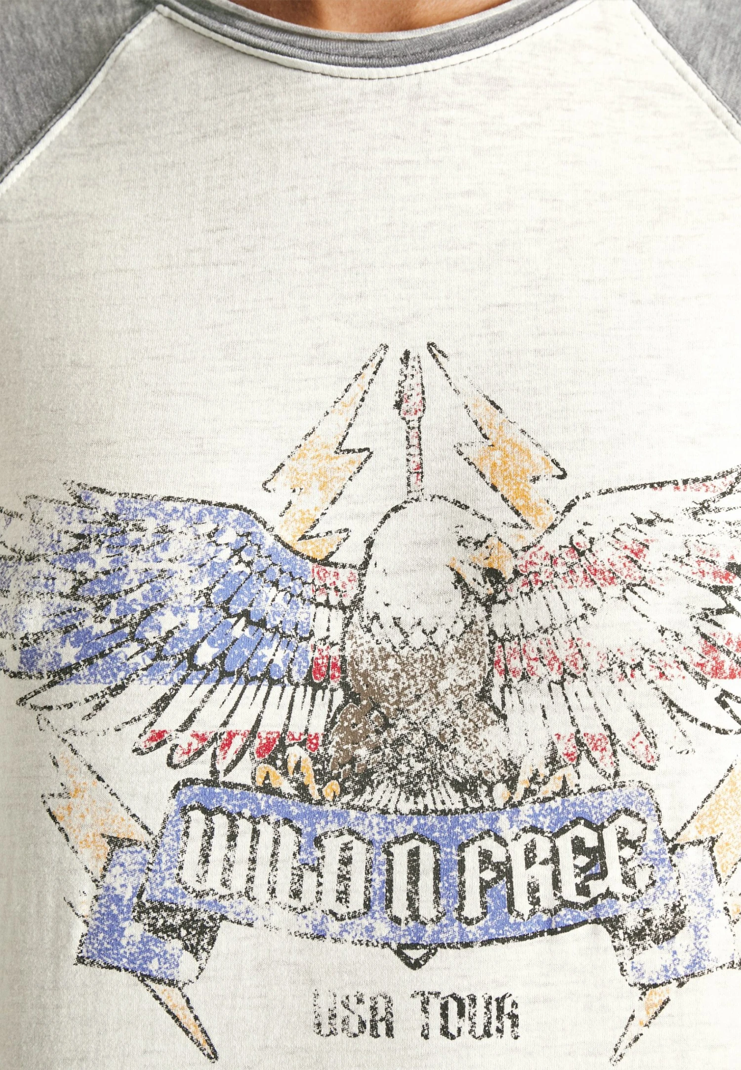 BDG Urban Outfitters Burnout Eagle Tee - T-Shirt À Manches Longues - Grey 8 BDG Urban Outfitters Burnout Eagle Tee - T-Shirt À Manches Longues - Grey – Image 6