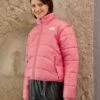 The North Face Jacket - Veste D'Hiver - Cosmo Pink 2 The North Face Jacket - Veste D'Hiver - Cosmo Pink -Next Soldes 69374a5832e24e338ec91971d26aedf3