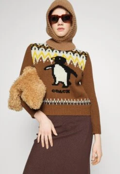 Coach Intarsia Ski Sweater - Pullover - Saddle 13 Coach Intarsia Ski Sweater - Pullover - Saddle -Next Soldes 6dd8f881d7b14ff9816d2b1c6015bf80
