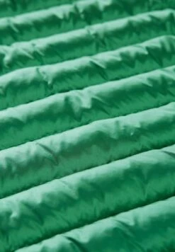 Tom Tailor Mit Kapuze - Veste D'Hiver - Vivid Leaf Green 15 Tom Tailor Mit Kapuze - Veste D'Hiver - Vivid Leaf Green -Next Soldes 7181972fe2794abca042a3e1ce8e92d6