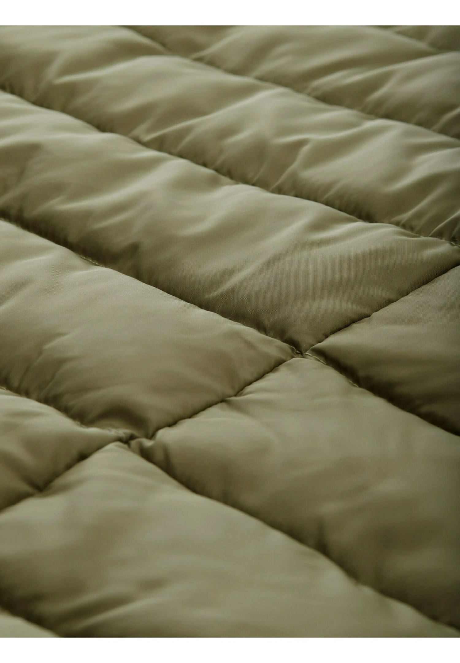 Tom Tailor Plus - Gesteppte - Veste Mi-Saison - Tree Moss Green 12 Tom Tailor Plus - Gesteppte - Veste Mi-Saison - Tree Moss Green – Image 10