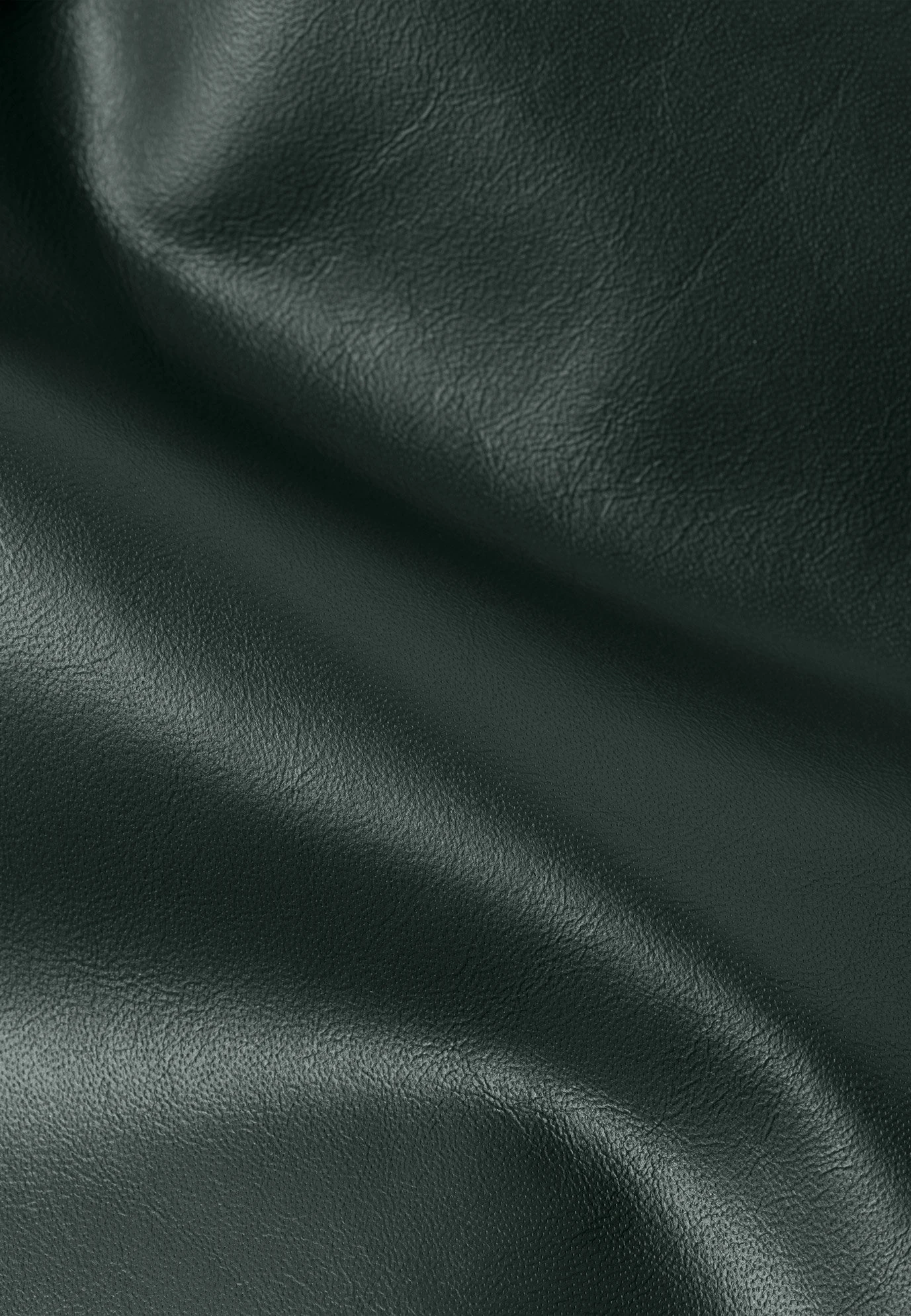 IVY OAK Lila - Pantalon En Cuir - Iris Leaf 8 IVY OAK Lila - Pantalon En Cuir - Iris Leaf – Image 6