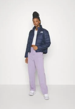 The North Face Jacket - Veste D'Hiver - Summit Navy 14 The North Face Jacket - Veste D'Hiver - Summit Navy -Next Soldes ac37b7e6a9ce4a4da95b4aa93c98d337