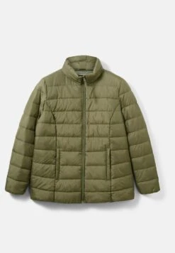 Tom Tailor Plus - Gesteppte - Veste Mi-Saison - Tree Moss Green 18 Tom Tailor Plus - Gesteppte - Veste Mi-Saison - Tree Moss Green -Next Soldes aeadde14a6b4466db0aa3392d3db3975