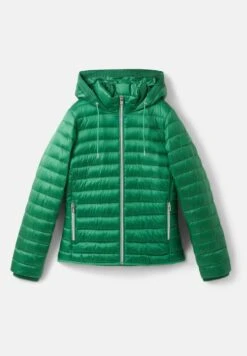 Tom Tailor Mit Kapuze - Veste D'Hiver - Vivid Leaf Green 16 Tom Tailor Mit Kapuze - Veste D'Hiver - Vivid Leaf Green -Next Soldes b0b9ee3eaa6b4f918b2ea00845436326
