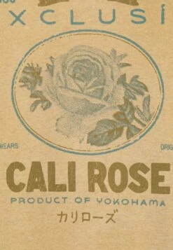 BDG Urban Outfitters Cali Rose Hoodie Unisex - Sweat À Capuche - Honey -Next Soldes c3e5d9b365ea4ccaad3167e409a7d8cb