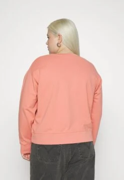 Levi's® Plus Standard - Sweatshirt - Terra Cotta 9 Levi's® Plus Standard - Sweatshirt - Terra Cotta -Next Soldes d89ba42fbb944357a88d7d3f4d0fbc50