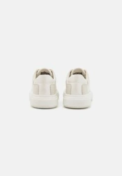 Calvin Klein Raised Cupsole Lace Up - Baskets Basses - Dark Ecru 11 Calvin Klein Raised Cupsole Lace Up - Baskets Basses - Dark Ecru -Next Soldes f1e225c2c1d04deebabd9c5e93b13d3b