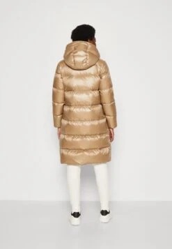 Armani Exchange Outerwear - Doudoune - Stage -Next Soldes f3c75b652a0b4a3293b1016479ec5183