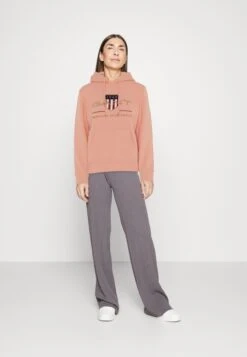 Gant Archive Shield Hoodie - Sweat À Capuche - Guava Orange -Next Soldes f572f8b431d64775a7b00ec933d940d3